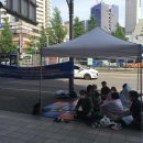 8스텔라 이미지