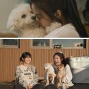 (주)조이드림