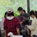 건강하게 동물병원 이미지