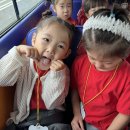 [식중독 예방 교육 뮤지컬] 빨간모자의 도시락 지키기 대소동! 🧼🍲️️❄️ 이미지