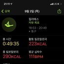 제스트(501) 이미지