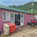 소나무쉼터 민박 이미지