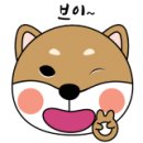 신나는전동세상
