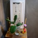 산아11 이미지