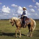 게임메니아 이미지