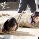 조선껍데기 이미지