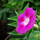 머믄자리 이미지