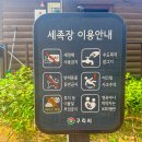 한강시민공원 백합나무길 화장실 앞 | 👣맨발로 흙을 밟으며 건강을 챙기는[🌳구리한강시민공원 김외정 백합나무길]
