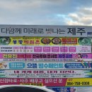 다음달 현역가왕 제주 콘서트 응원합니다 짝짝짝 이미지