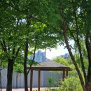 석우리천 공원 이미지