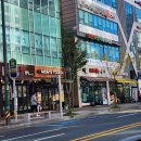 비바체안경 이미지