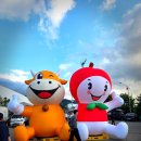 범진 | 장수사과축제 방문기, 축제 기본정보+주차 꿀팁+레드콘서트 초대가수_에일리,리센느,치타,범진,케이시 후기