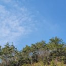 해남공원 앞 이미지