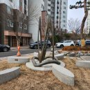 골드페르소나 이미지