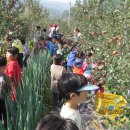 시민유치원 이미지