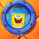 Confidence GYM 이미지