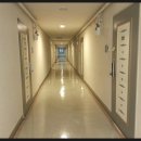 동양파라빌 이미지