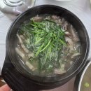 할매순대국밥 | 대천해수욕장근처 신토리할매국밥 솔직후기! 순대국밥·돼지국밥·갈비탕·순대
