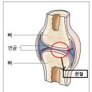 바로약품(주) 이미지