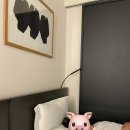 스테이이루카 이미지