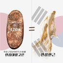 고은인삼