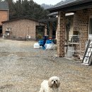 유명산하늘아래펜션 이미지