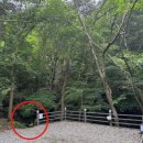 포레스트벨리캠프 이미지