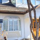 사계절산장 | 서울 뜨개 카페, 청계산 누뗀 재방문 후기 🧶 숲속 산장 감성 &amp; 실 쇼핑/주차/영업시간