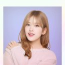 이쁜 댕댕이 이미지