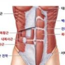 바디앤솔세종 네이버블로그