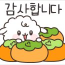 비스트로샤츠 이미지