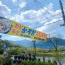화원일송정 이미지