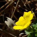 우산공원1 이미지