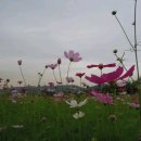 한강시민공원(자연학습장) 이미지