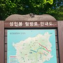 울릉도 성인봉 산행(2024년 5월 19일) 이미지