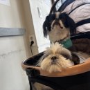 동서회관식당 이미지