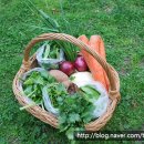 말밭농장 이미지