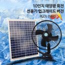 진동다육