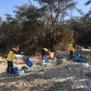 국립신시도자연휴양림 이미지