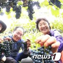 박종진 농장 이미지