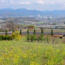 이수미팜베리 이미지