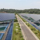 평화태양광발전소 이미지