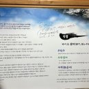 선반내천지연무태장어