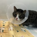 창원메디컬동물병원 이미지