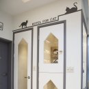 유성동물병원 이미지