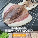 해농:갑 오드더 갑오징어🦑