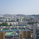 이든바인하츠 이미지