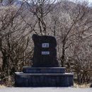한라산렌트카