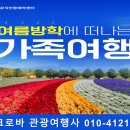 크로바관광여행사 이미지