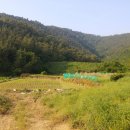 구산면622 이미지